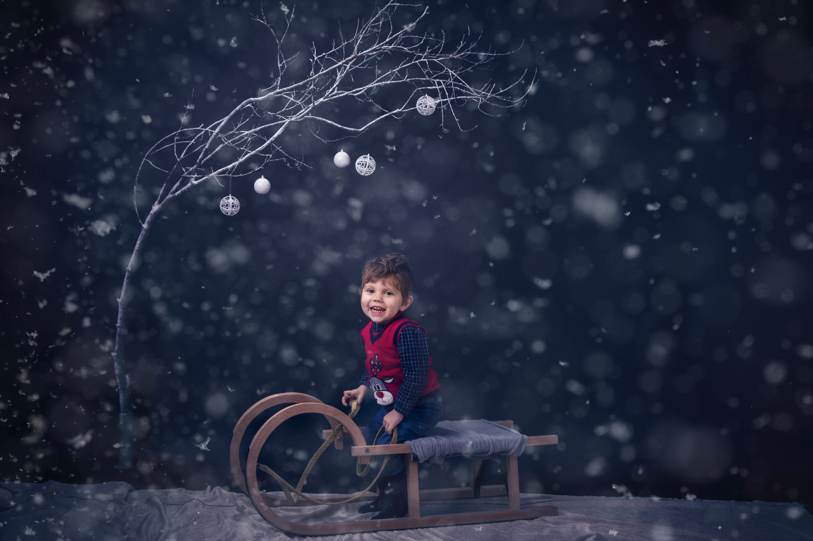 Sesiune foto Craciun Mihai si Tudor 0005 copy